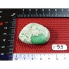 Variscite Utah USA en galet plat 21g