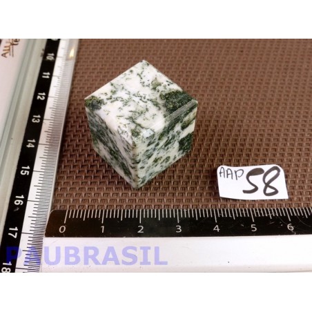 Cube poli en Agate arborisée - agate arbre Q Extra 26g 22mm