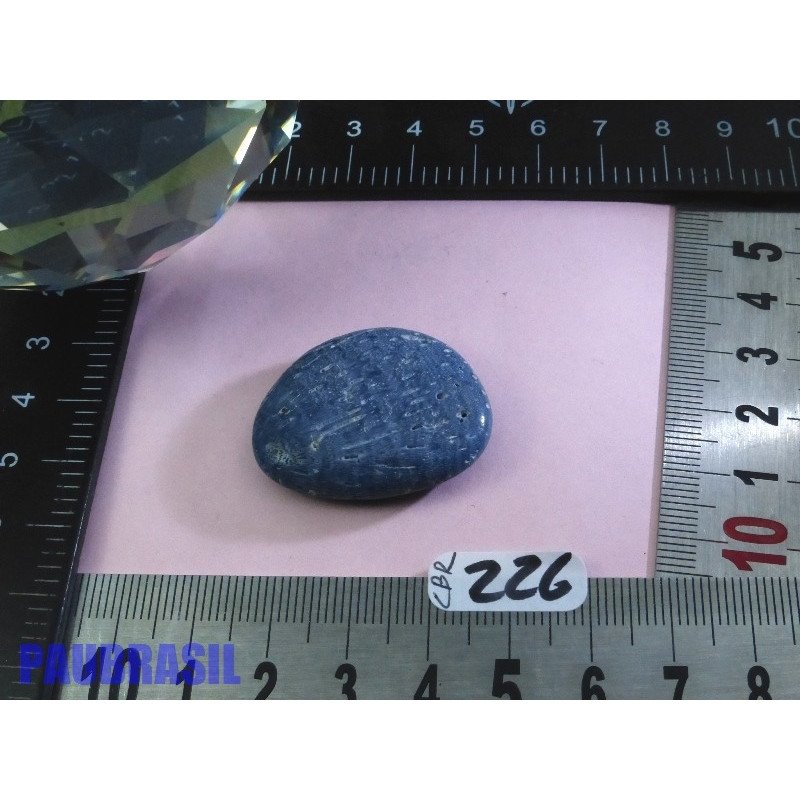 Corail Bleu en Pierre Plate 10g | Minéraux Paubrasil