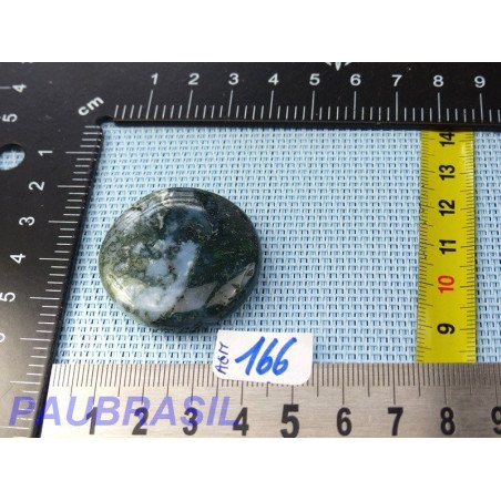 Agate Mousse en Pierre Plate Mini 19gr