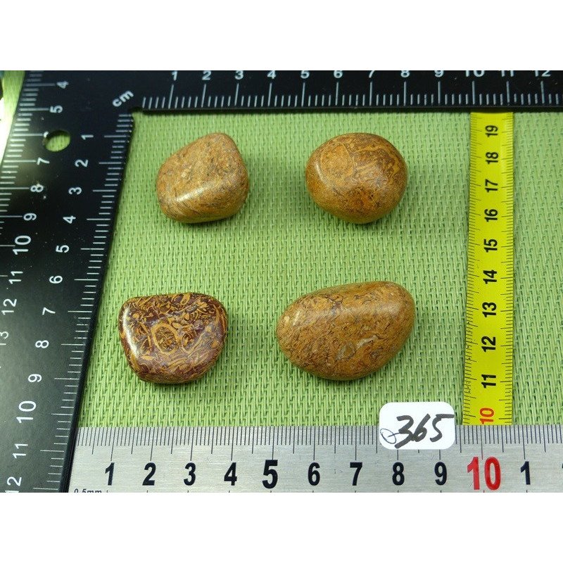 Jaspe Vermicelle - Jaspe Marianne Lot de 4 Pierres Roulées 7 | Minéraux Paubrasil
