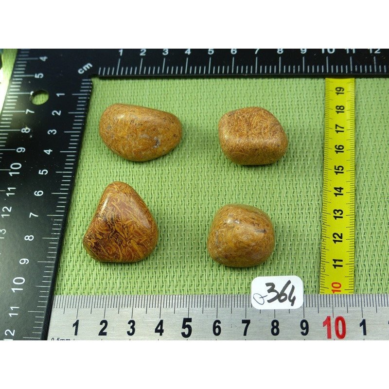 Jaspe Vermicelle - Jaspe Marianne Lot de 4 Pierres Roulées 7 | Minéraux Paubrasil