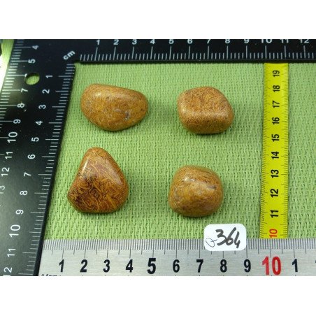 Jaspe Vermicelle - Jaspe Marianne Lot de 4 Pierres Roulées 7 | Minéraux Paubrasil