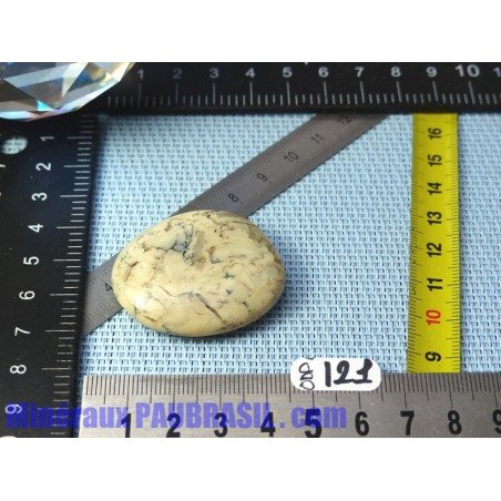Opale à Dendrites en pierre plate Q Extra 16gr