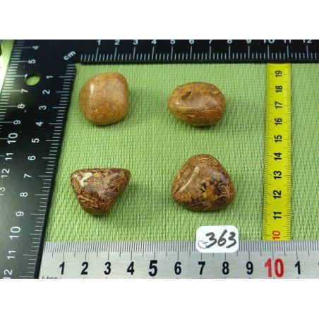 Jaspe Vermicelle - Jaspe Marianne Lot de 4 Pierres Roulées 6 | Minéraux Paubrasil