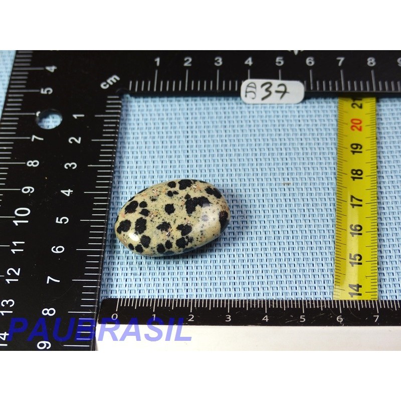 Jaspe Dalmatien Lamparci en mini pierre plate 13gr