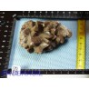 Calcite Dent de Chien 124gr