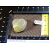 Quartz à inclusions de rutile du Minas Gerais Brésil 13gr