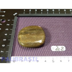 Bois Fossilisé pierre plate 23g qualité Extra Madagascar