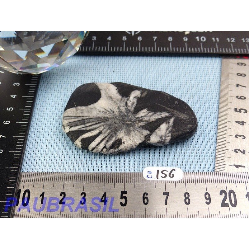 Pierre Chrysanthème Chrysanthemum stone 75gr