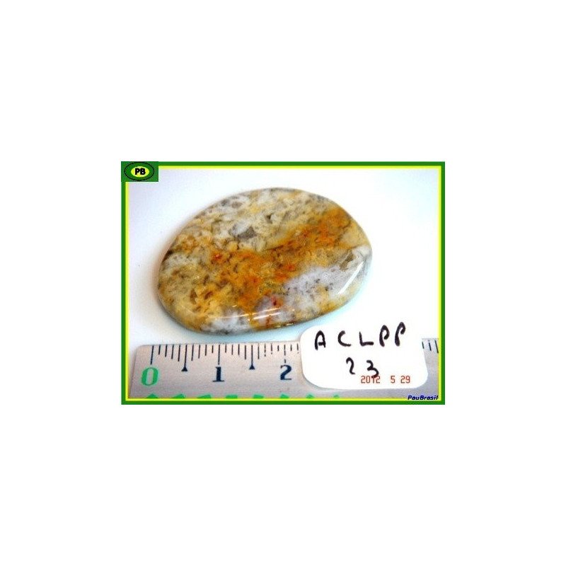 Agate Crazy Lace en pierre plate fine de 10gr Q Extra