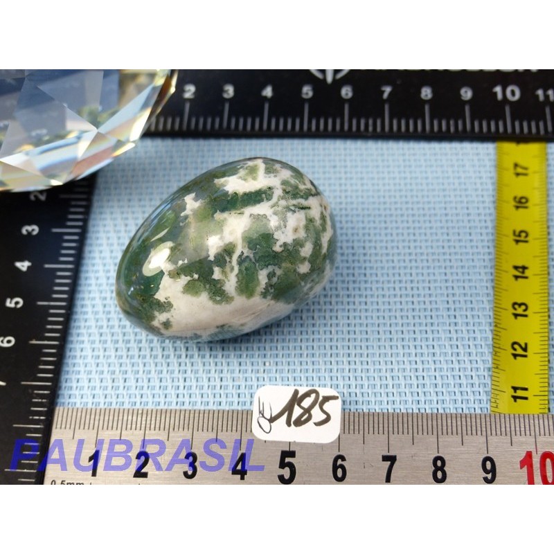 Oeuf Agate arborisée - agate arbre 81gr 35mm diametre 50mm long