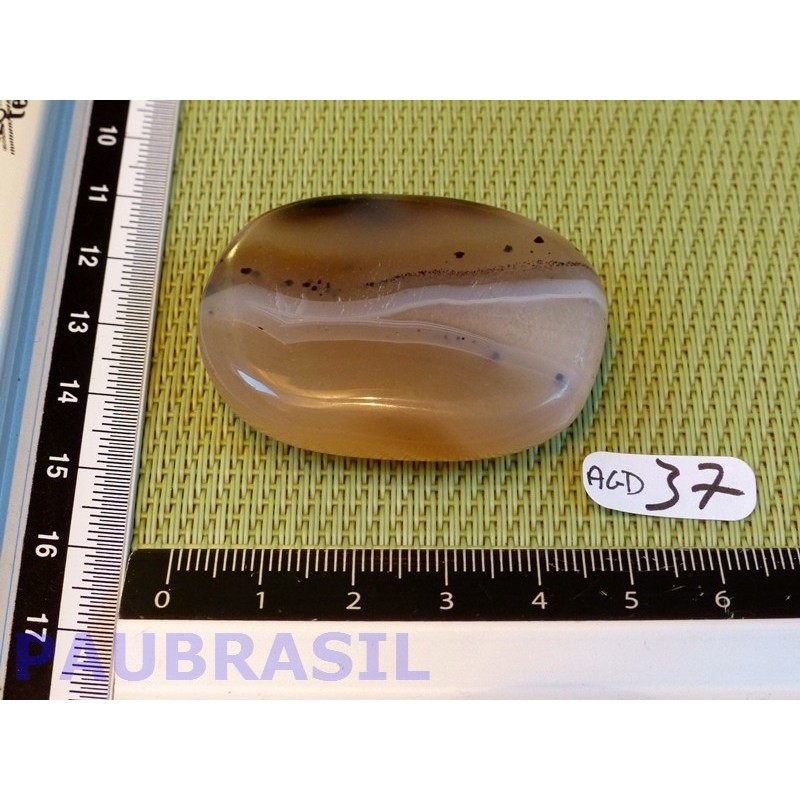 Agate Naturelle Dendritique Q Extra en tranche plate 34g