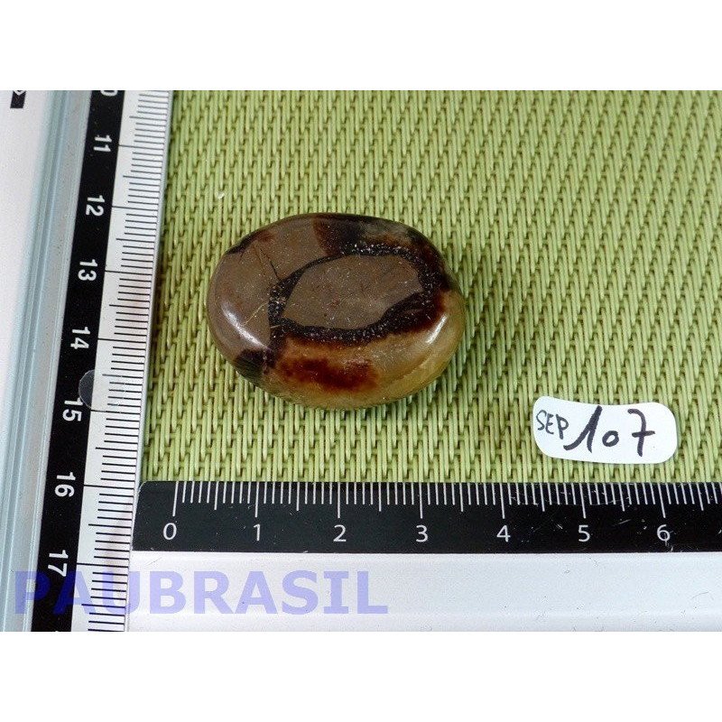 Septaria en tranche polie 18g