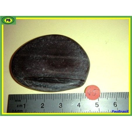 Bois fossilisé en pierre plate 20g