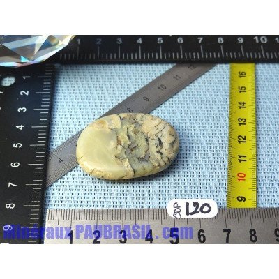 Opale à Dendrites en pierre plate Q Extra 16gr