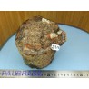 Bois Fossile en tronc une face polie 377gr Madagascar