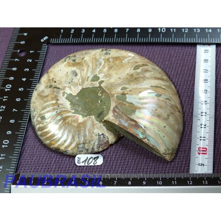 Ammonite une face Polie Q Extra 237g