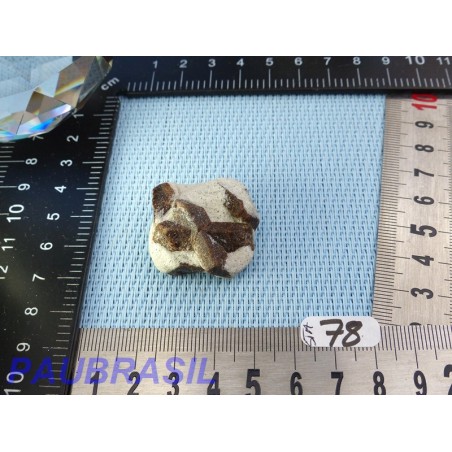 Staurotide Staurolite Croix des fées 21gr Russie Staurotide Staurolite Croix des fées 21gr Russie
