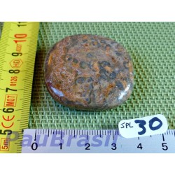 Jaspe leopard en pierre plate de 27gr