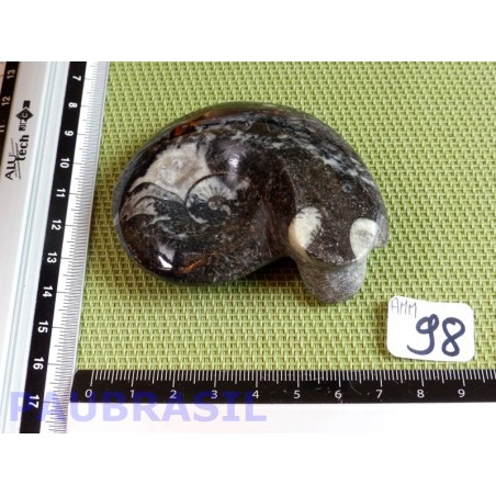 AMMONITE Polie 112g