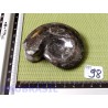 AMMONITE Polie 112g