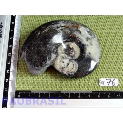 Ammonite Polie 136g