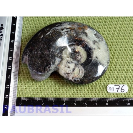 Ammonite Polie 136g