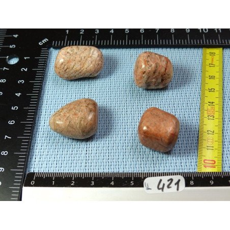 Orthoclase de Madagascar Lot de 4 Pierres Roulées 57g | Minéraux Paubrasil