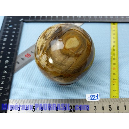 Sphère en Bois fossilisé de 706gr 80mm diamètre Q Extra