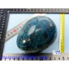 Oeuf Apatite bleue Madagascar Q Extra 842gr 73mm diamètre 95mm long