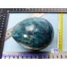 Oeuf Apatite bleue Madagascar Q Extra 842gr 73mm diamètre 95mm long