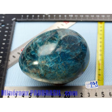 Oeuf Apatite bleue Madagascar Q Extra 842gr 73mm diamètre 95mm long