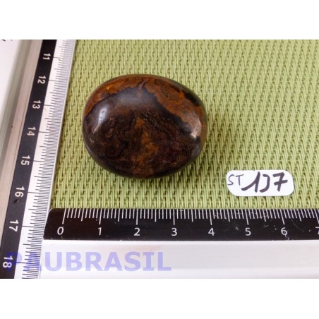 Stromatolite en pierre roulée 33g