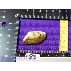 Chrysoprase Citron Australie pierre roulée Q Extra 11gr