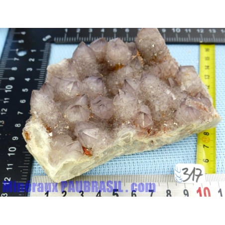 Quartz Amethyste Cactus dit Esprit Q EXTRA 546g