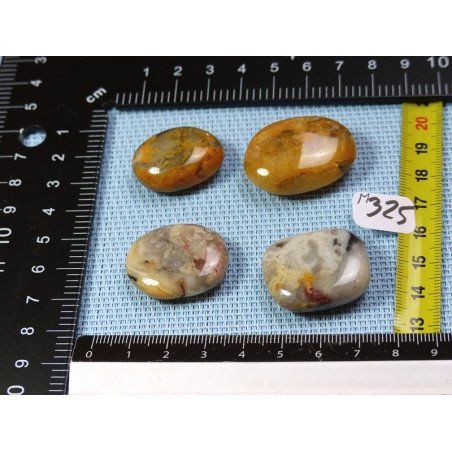 Agate Crazy Lace Lot de 4 Pierres Plates Mini 46g | Minéraux Paubrasil