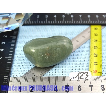 Quartz Fantome à inclusions de Chlorite pierre roulée Q Extra Brésil 41g