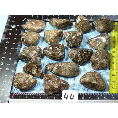 Agate Turitelle Pierre Roulée à l unité de 19 à 23 gr | Minéraux Paubrasil