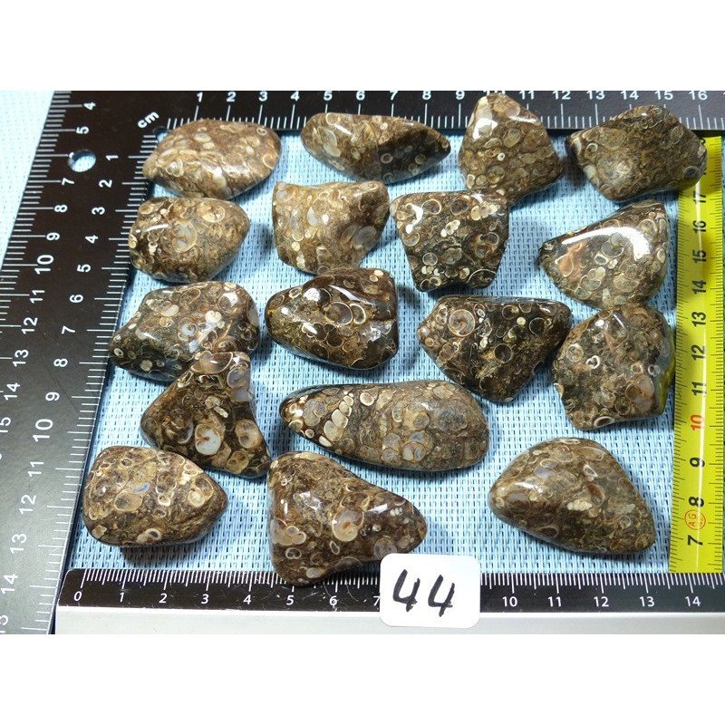 Agate Turitelle Pierre Roulée à l unité de 19 à 23 gr | Minéraux Paubrasil