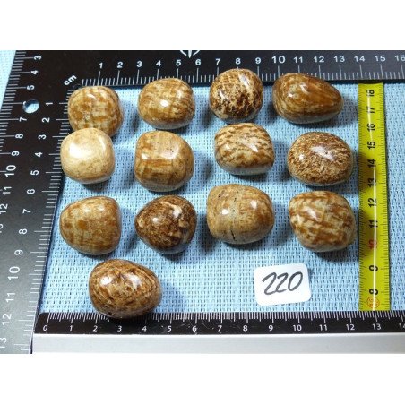 Aragonite Zonée Pierre Roulée à l unité de 20 à 23 gr | Minéraux Paubrasil