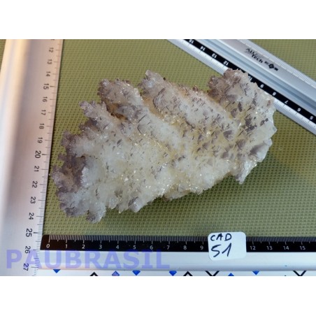 Calcite jaune noire du Chihuahua pierre brute RARE 440g