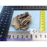 Calcite Papier brute de Bulgarie 28g rare