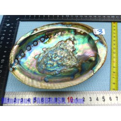Coquille Ormeau - Nacre Abalone Q Extra 130g