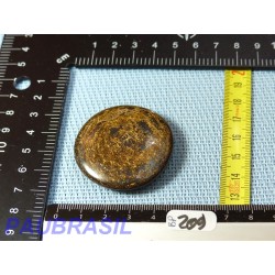 Bronzite en Pierre Plate 35g