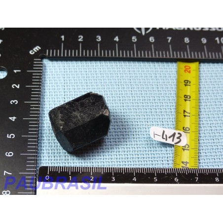 Tourmaline Noire Schorl en Pierre Brute Biterminée 30g