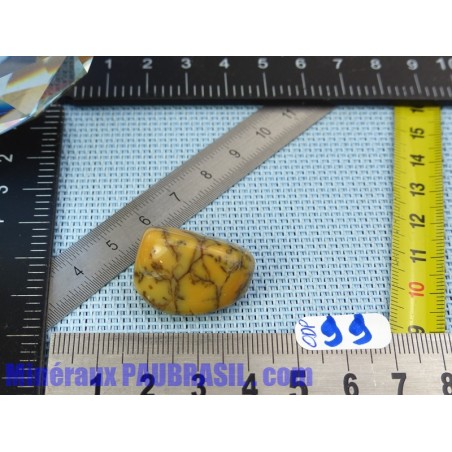 Opale à Dendrites en pierre roulée de 9gr