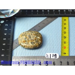 Opale à Dendrites en pierre plate de 16gr