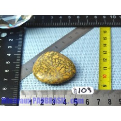 Opale à Dendrites en pierre plate Q Extra 18gr