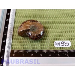 Ammonite Semi Polie 17g